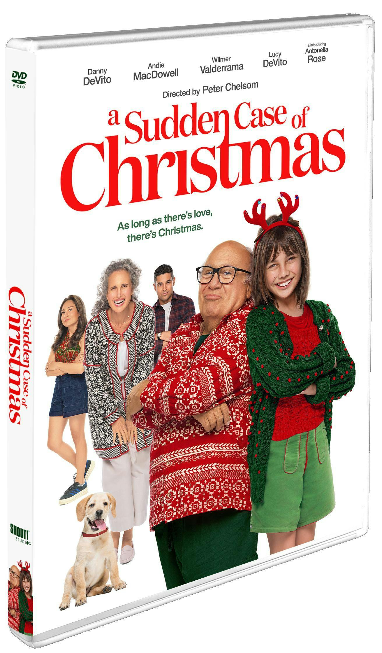 A Sudden Case of Christmas [DVD] - Image 2