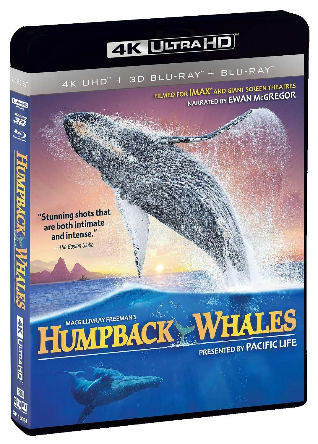 Humpback Whales [UHD] - Image 2